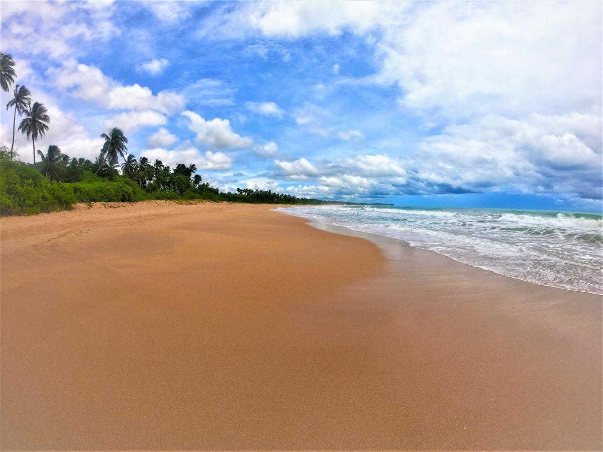 Sleeping Elephant Beach Resort Тангале Екстериор снимка