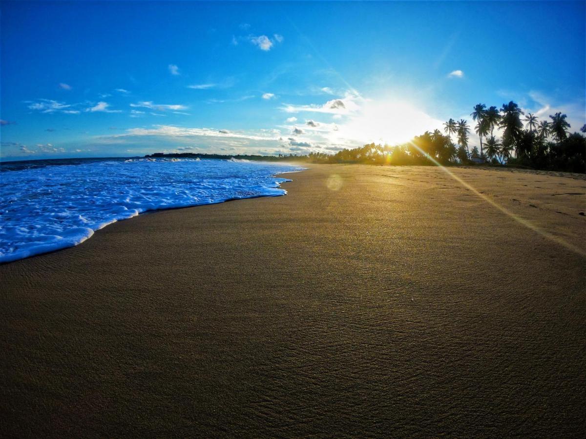 Sleeping Elephant Beach Resort Тангале Екстериор снимка