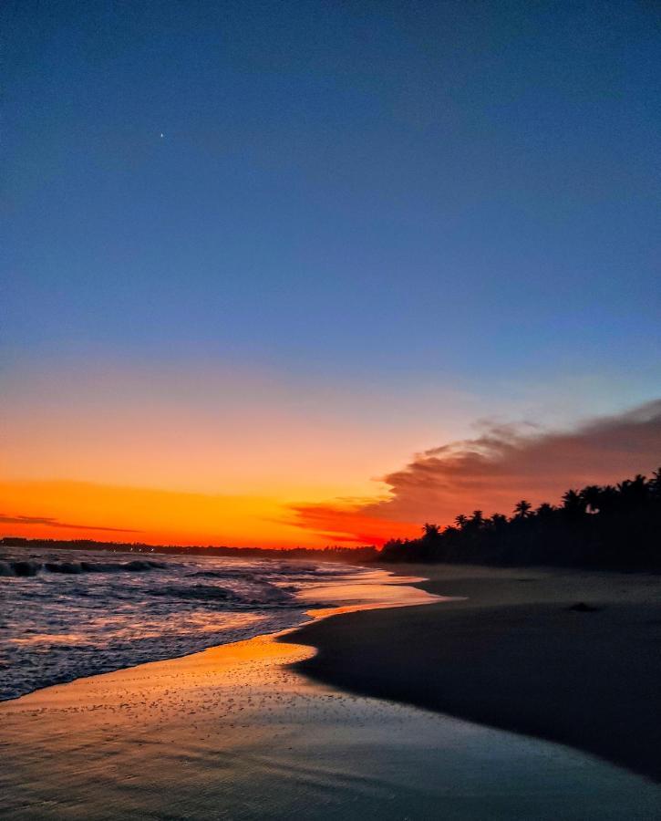 Sleeping Elephant Beach Resort Тангале Екстериор снимка
