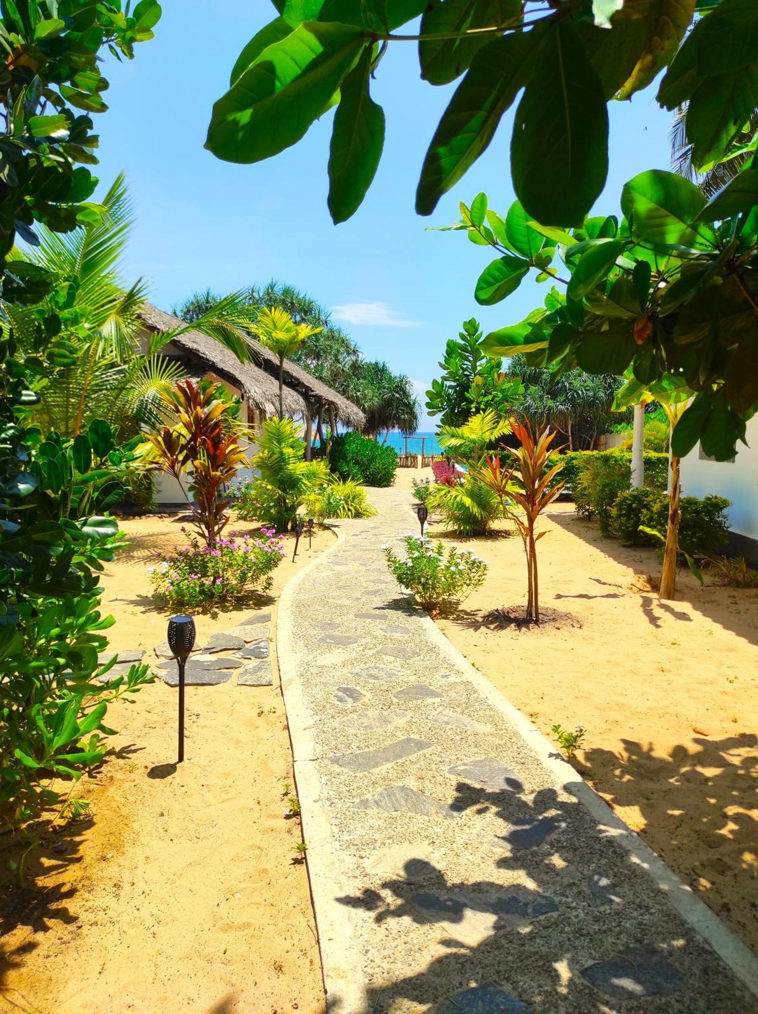 Sleeping Elephant Beach Resort Тангале Екстериор снимка