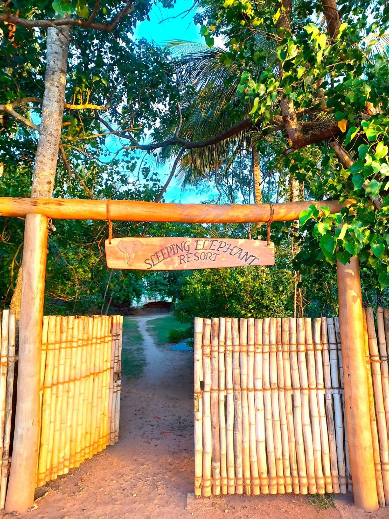 Sleeping Elephant Beach Resort Тангале Екстериор снимка